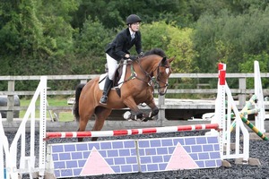 Class 6 - Fences not above 2'9